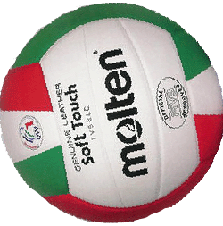 ballon_volley